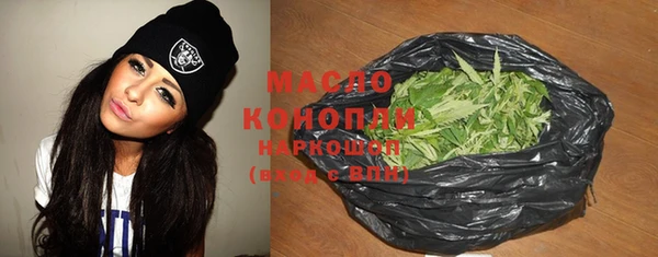 мдпв Вяземский