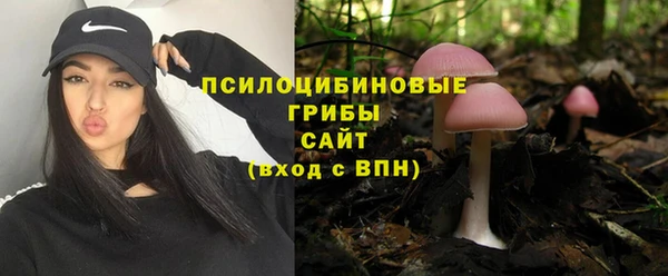 стаф Вязьма