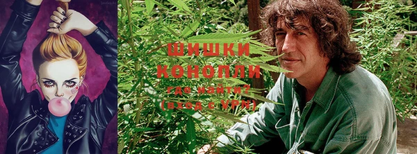 мдпв Вяземский