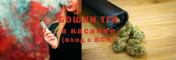 стаф Вязьма