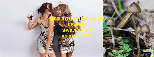 стаф Вязьма
