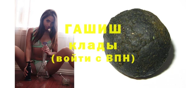 мдпв Вяземский