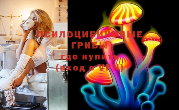стаф Вязьма