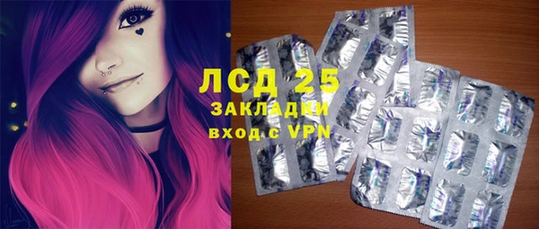 стаф Вязьма