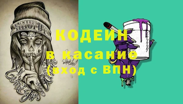 мдпв Вяземский
