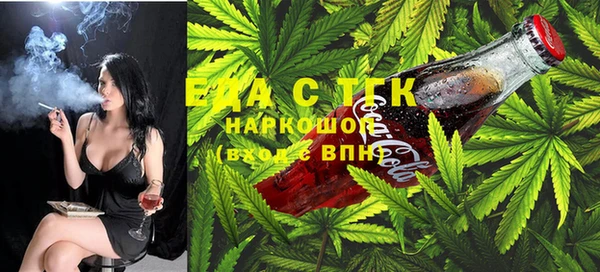 мдпв Вяземский